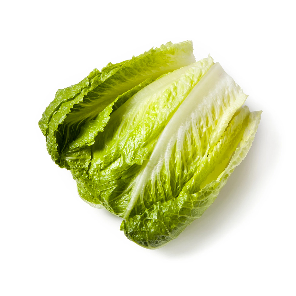 Green Cabbage
